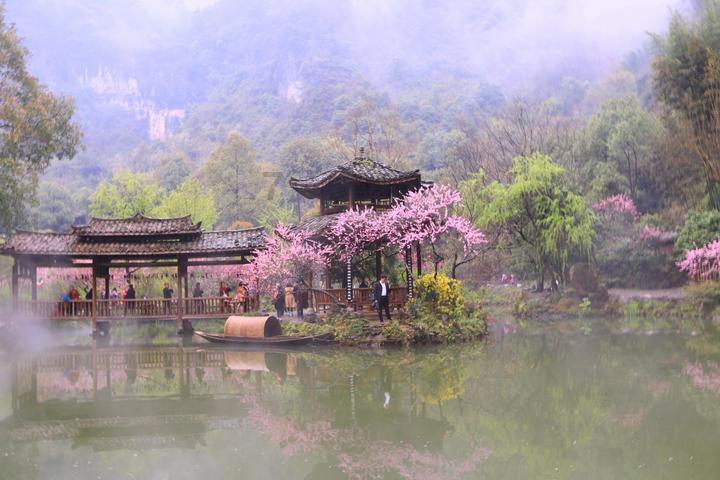 虫虫助手下载