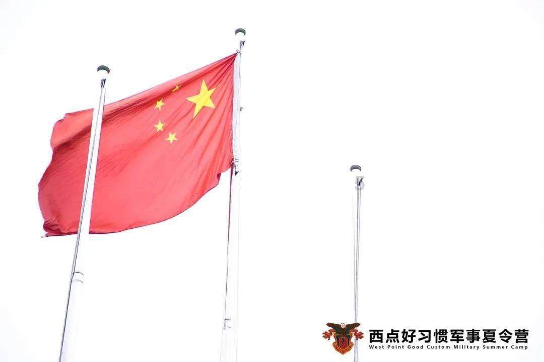可爱的小考拉