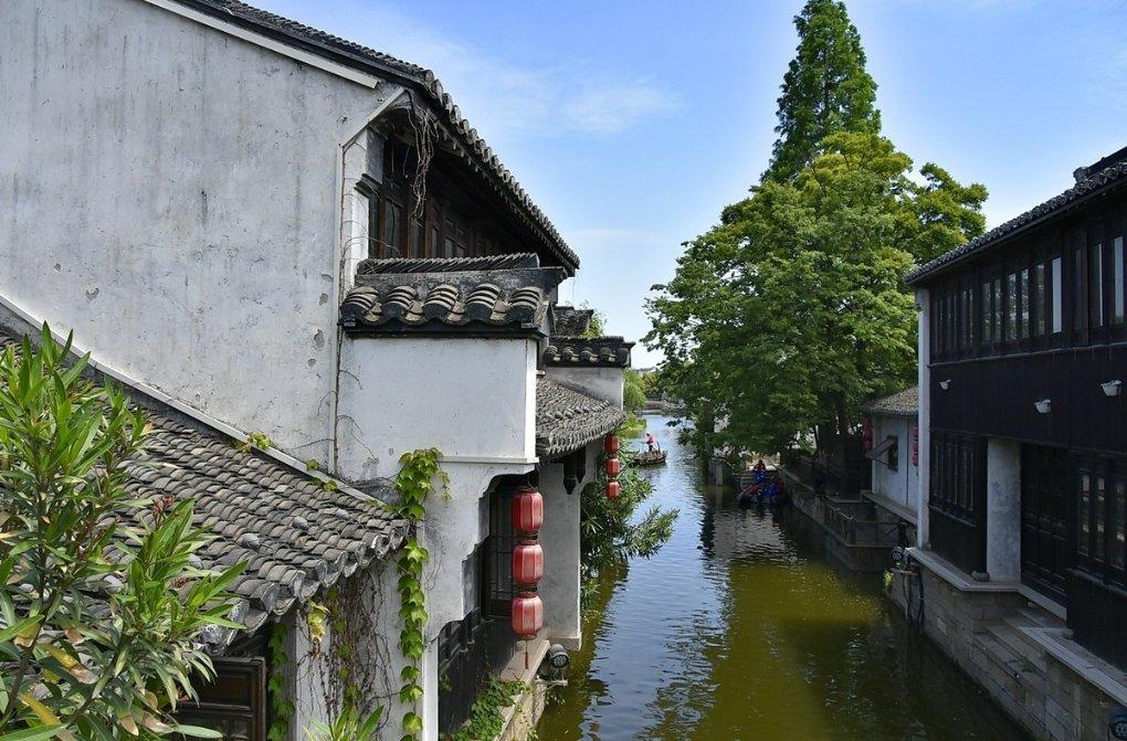 被单位辞退要怎么办？游戏画面