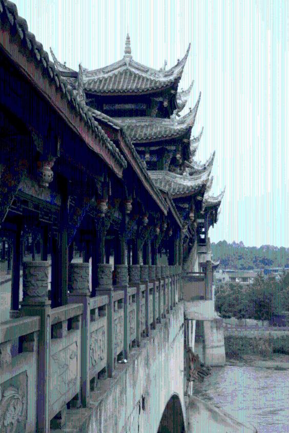 动物帮帮忙保卫家园